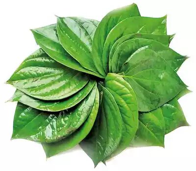 Betel Leaves