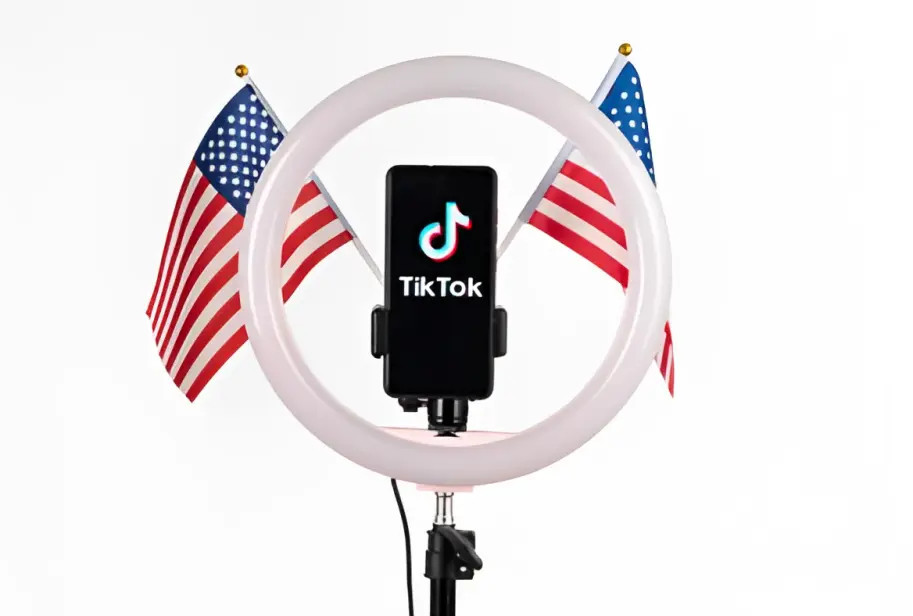 TikTok Politics and Activism