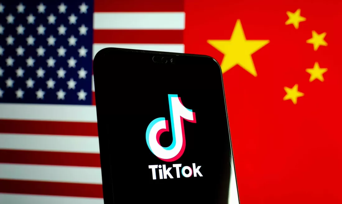 TikTok and Politics