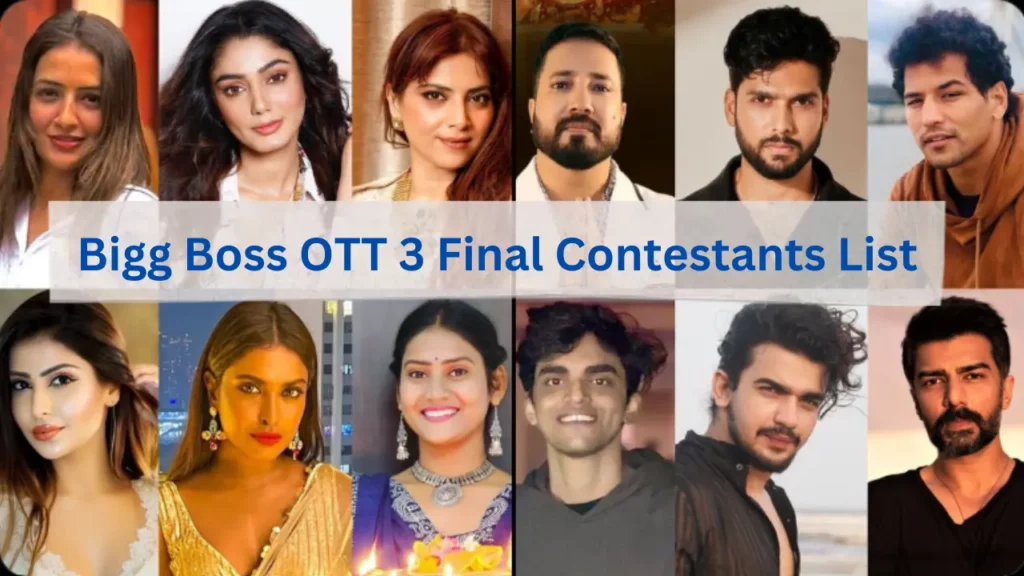 Bigg Boss OTT 3 Final Contestants List