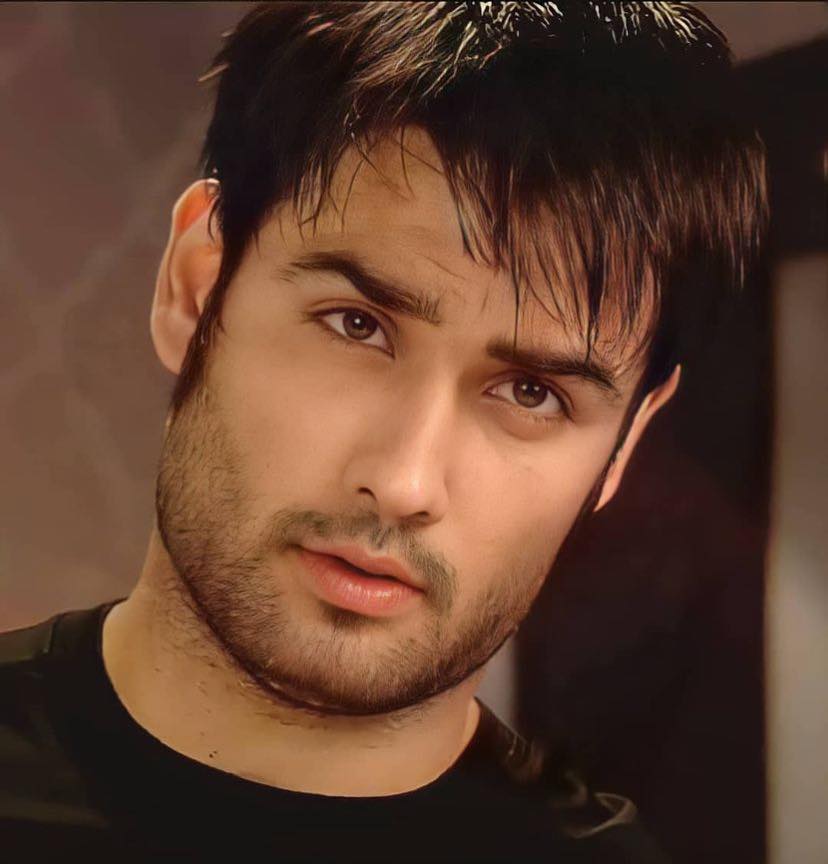 Vivian Dsena Wiki